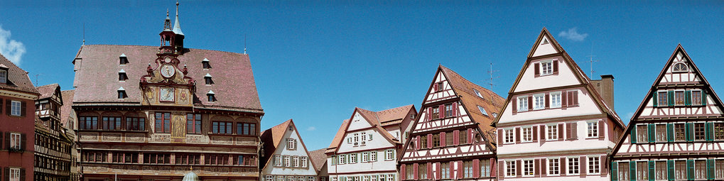 Living and Working in Tübingen