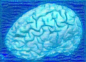 Neuroinformatics